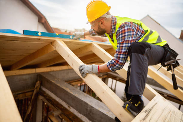 Best Roof Gutter Cleaning  in Vine Hill, CA