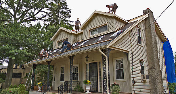 Best Roof Repair Specialists  in Vine Hill, CA